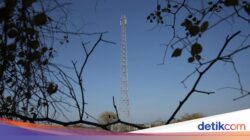 Undang-Undang Komunikasi Sudah Usang, Google Cs Untung yang Lain Buntung